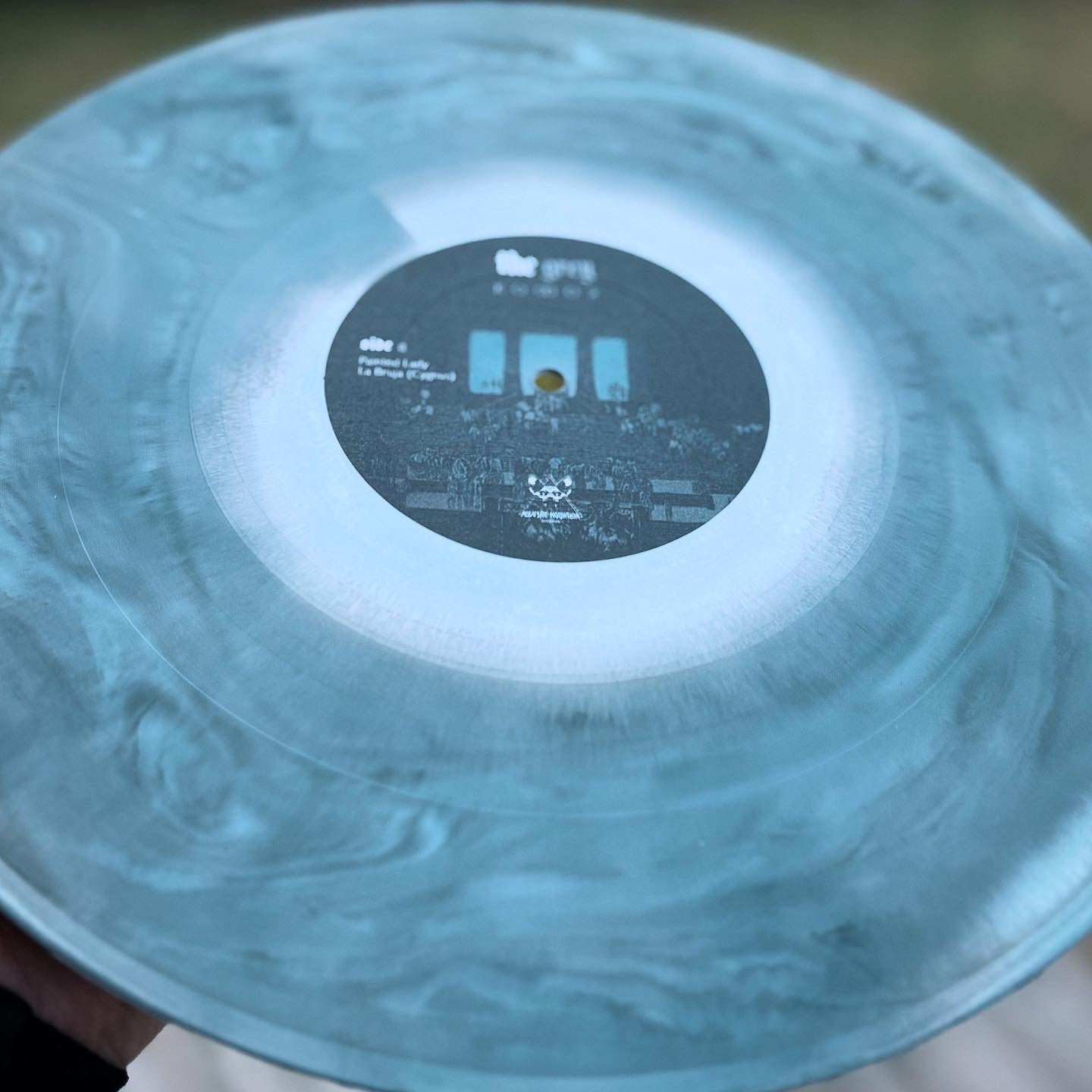 The Grey - KODOK - Majestic Mountain Records