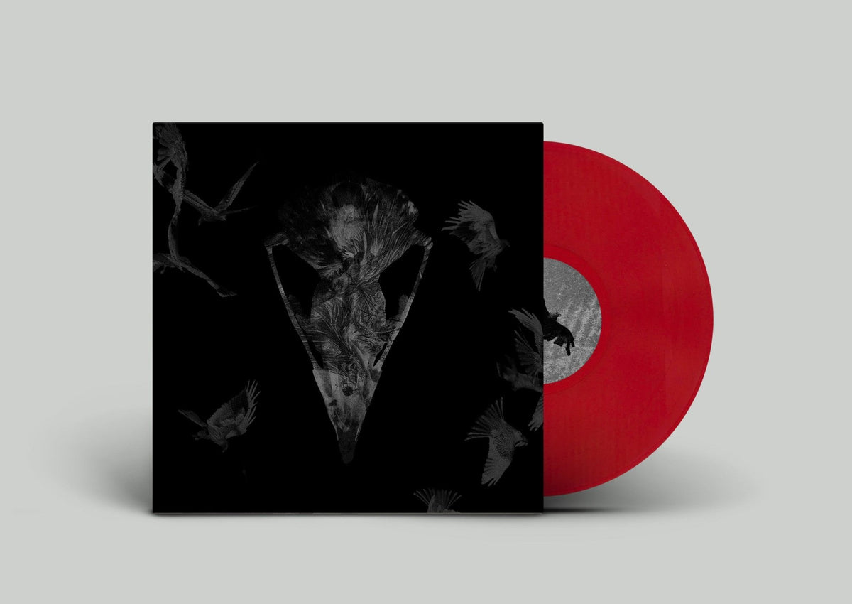 Haast - Dreams of Home (PRE-ORDER) - Majestic Mountain Records