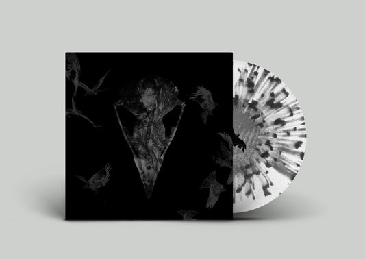 Haast - Dreams of Home (PRE-ORDER) - Majestic Mountain Records