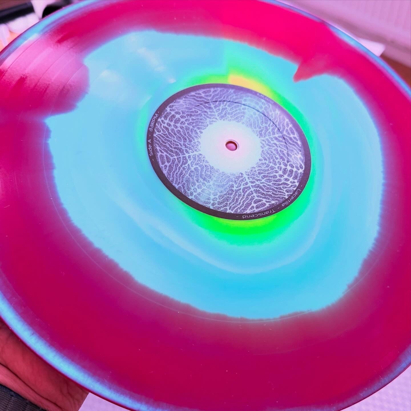 Lacertilia - Transcend (In stock and shippin) - Majestic Mountain Records