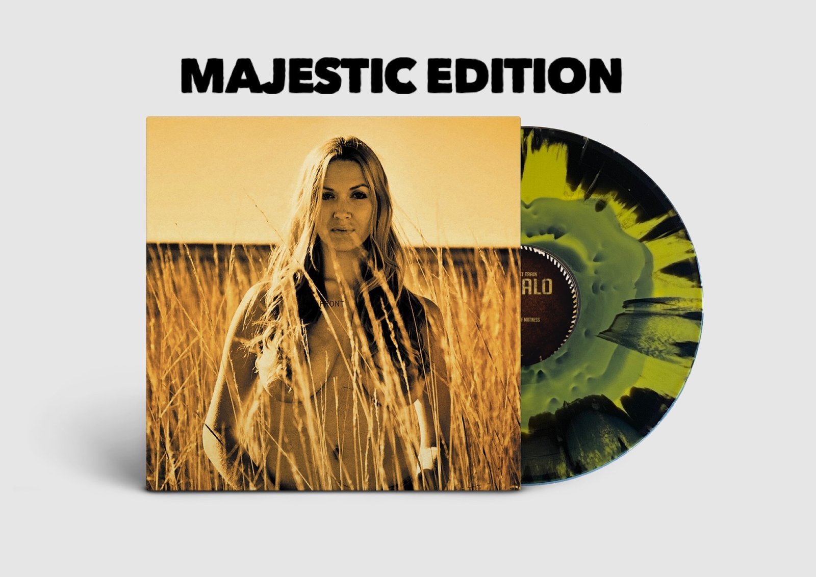 The Midnight Ghost Train - Buffalo - Majestic Mountain Records